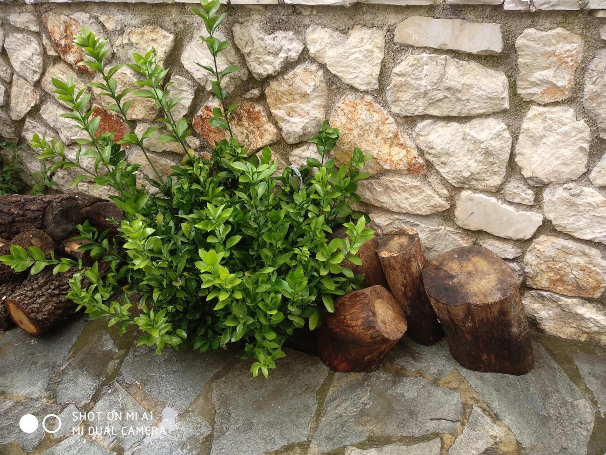 Amelia'S House Apartment Nafplio Exterior photo